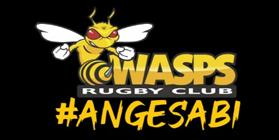 Wasps Rugby Club Edenvale